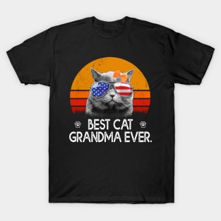 Vintage Best Cat Grandma Ever T-Shirt T-Shirt